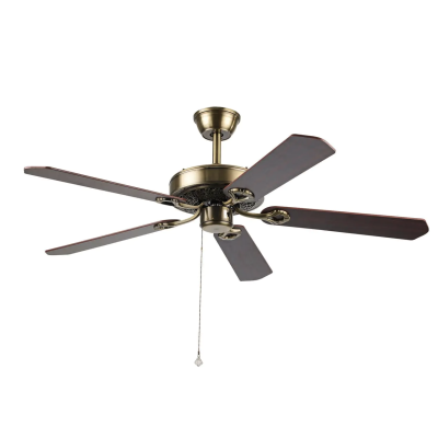 classical Bronze Fan Wood