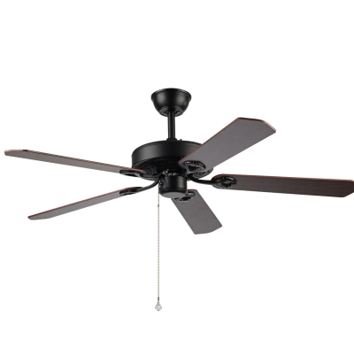 Classical Black Fan Wood