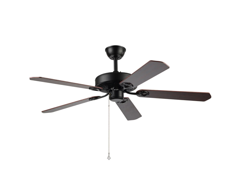 Classical Black Fan Wood